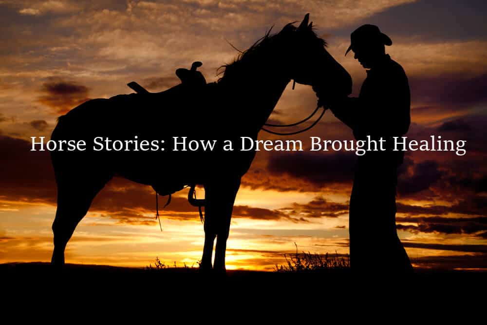 Horse Stories: How A Dream Brought Healing