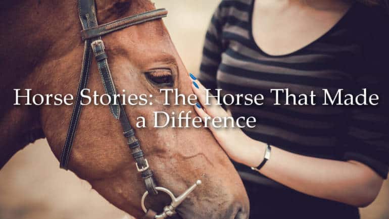 The Horse That Made A Difference