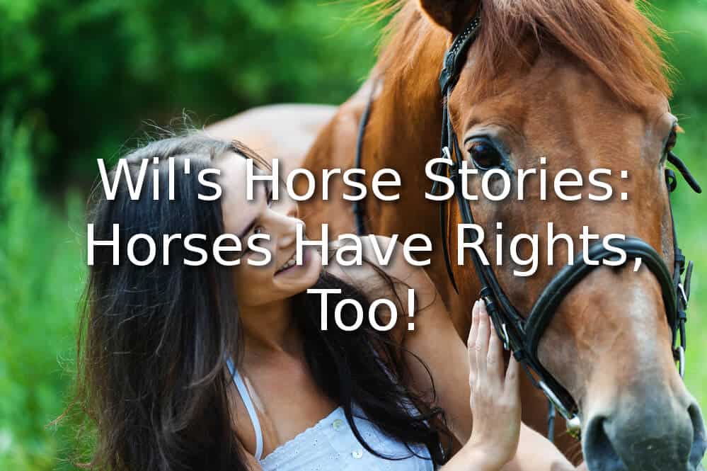 horses-have-rights-too-blog.jpg
