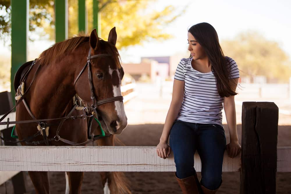 Do You Speak Horse Fluently?